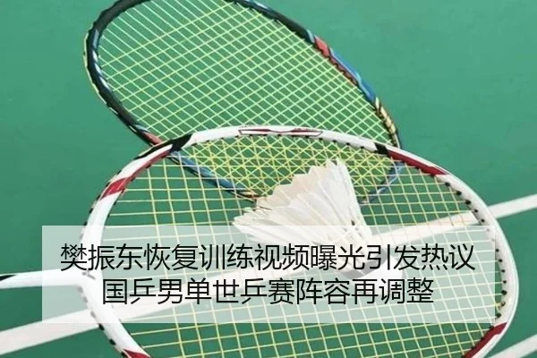 樊振东恢复训练视频曝光引发热议 国乒男单世乒赛阵容再调整