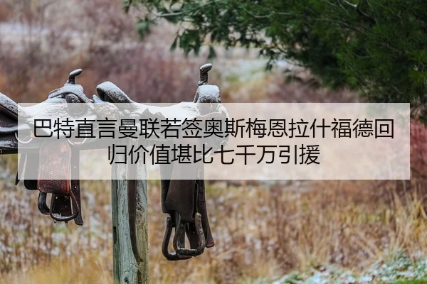 巴特直言曼联若签奥斯梅恩拉什福德回归价值堪比七千万引援